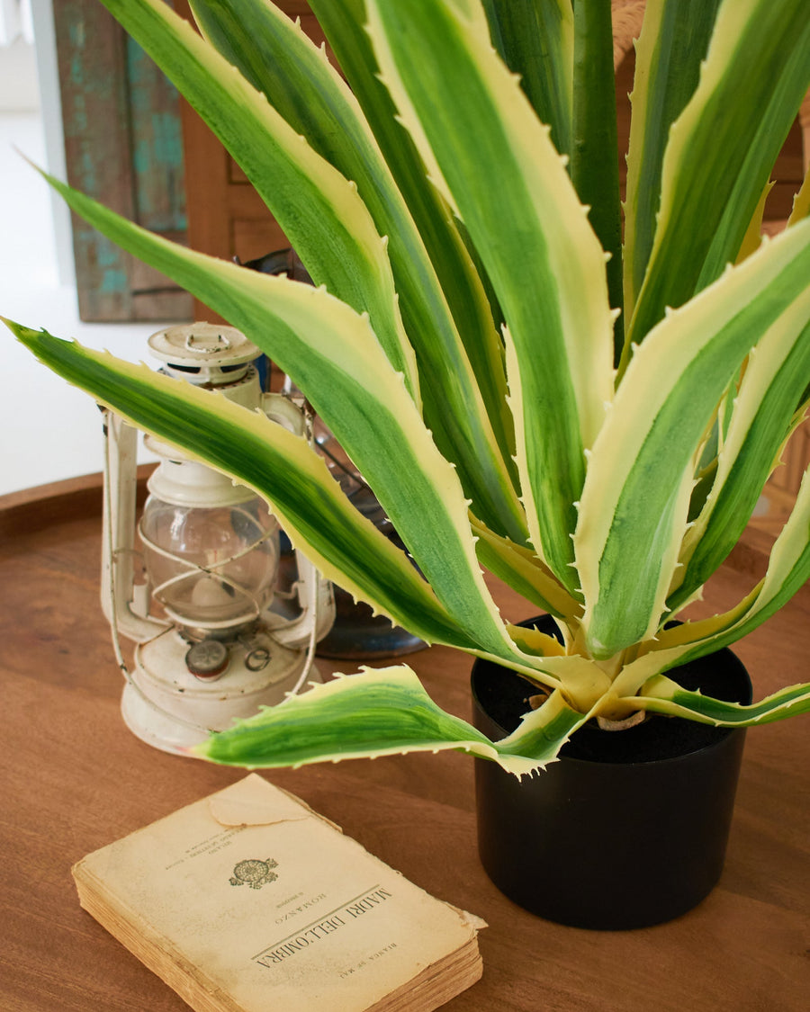 Agave artificiale con vaso Mesa Verde - OrchideaMilano1981