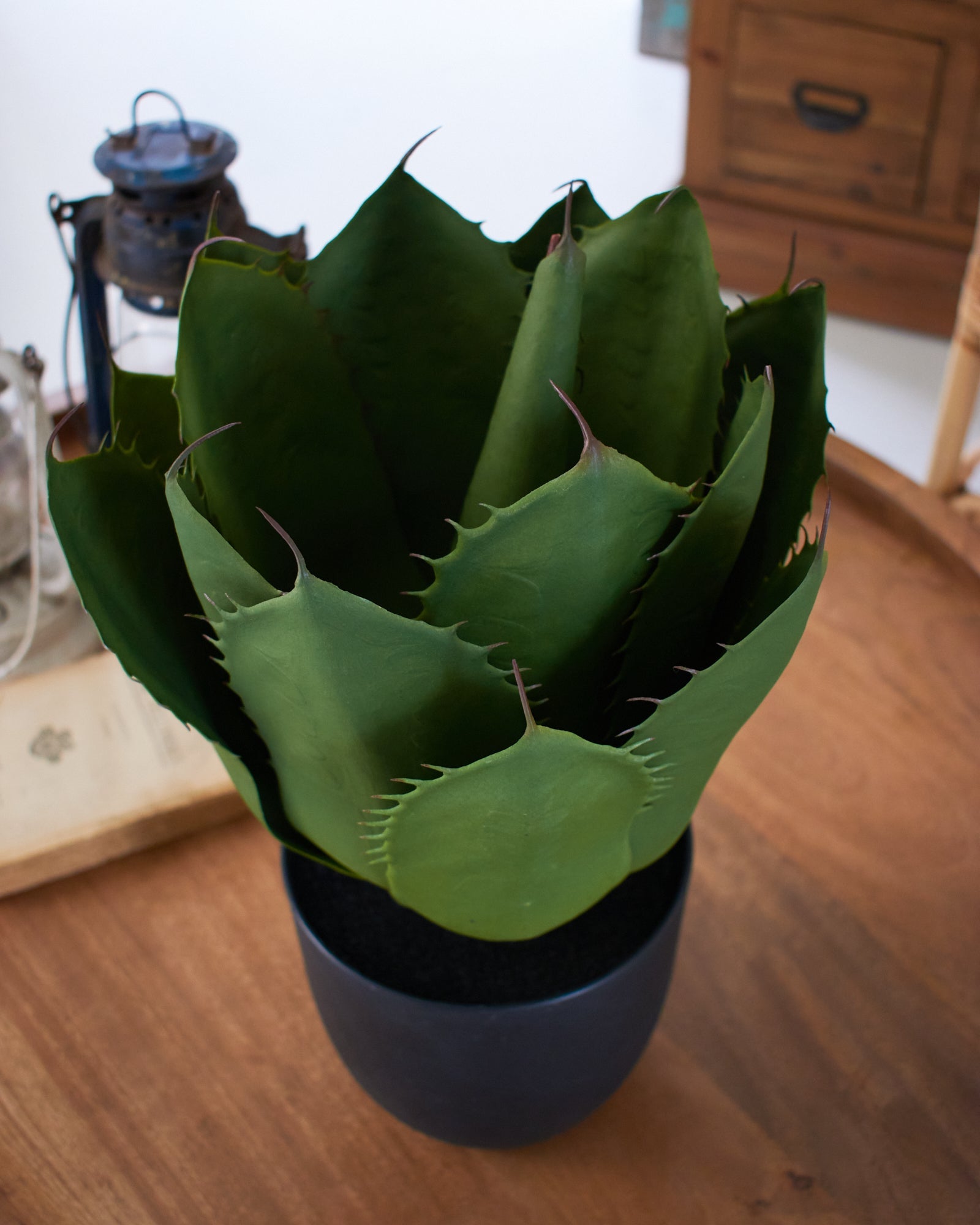 Aloe artificiale con vaso Arizona - OrchideaMilano1981