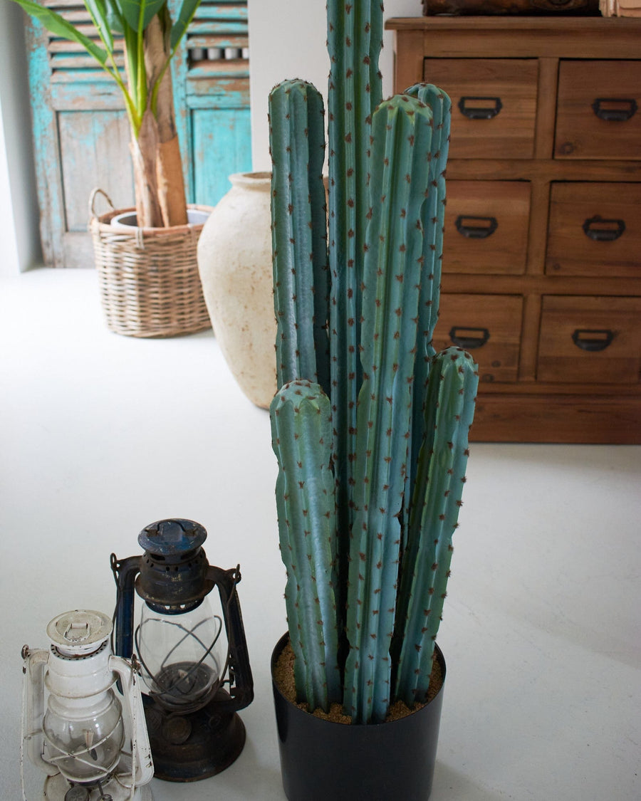 Cactus artificiale con vaso Mexico - OrchideaMilano1981