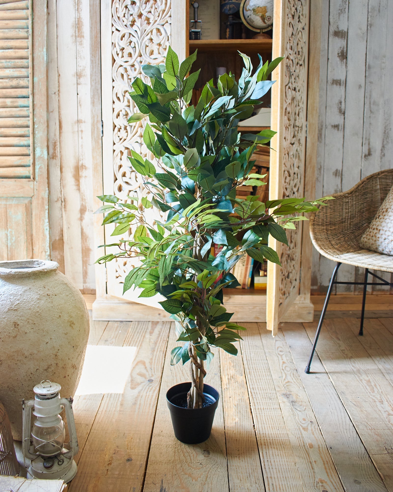 Ficus artificiale Tonga set da 2 - OrchideaMilano1981