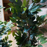 Ficus artificiale Tonga set da 2 - OrchideaMilano1981