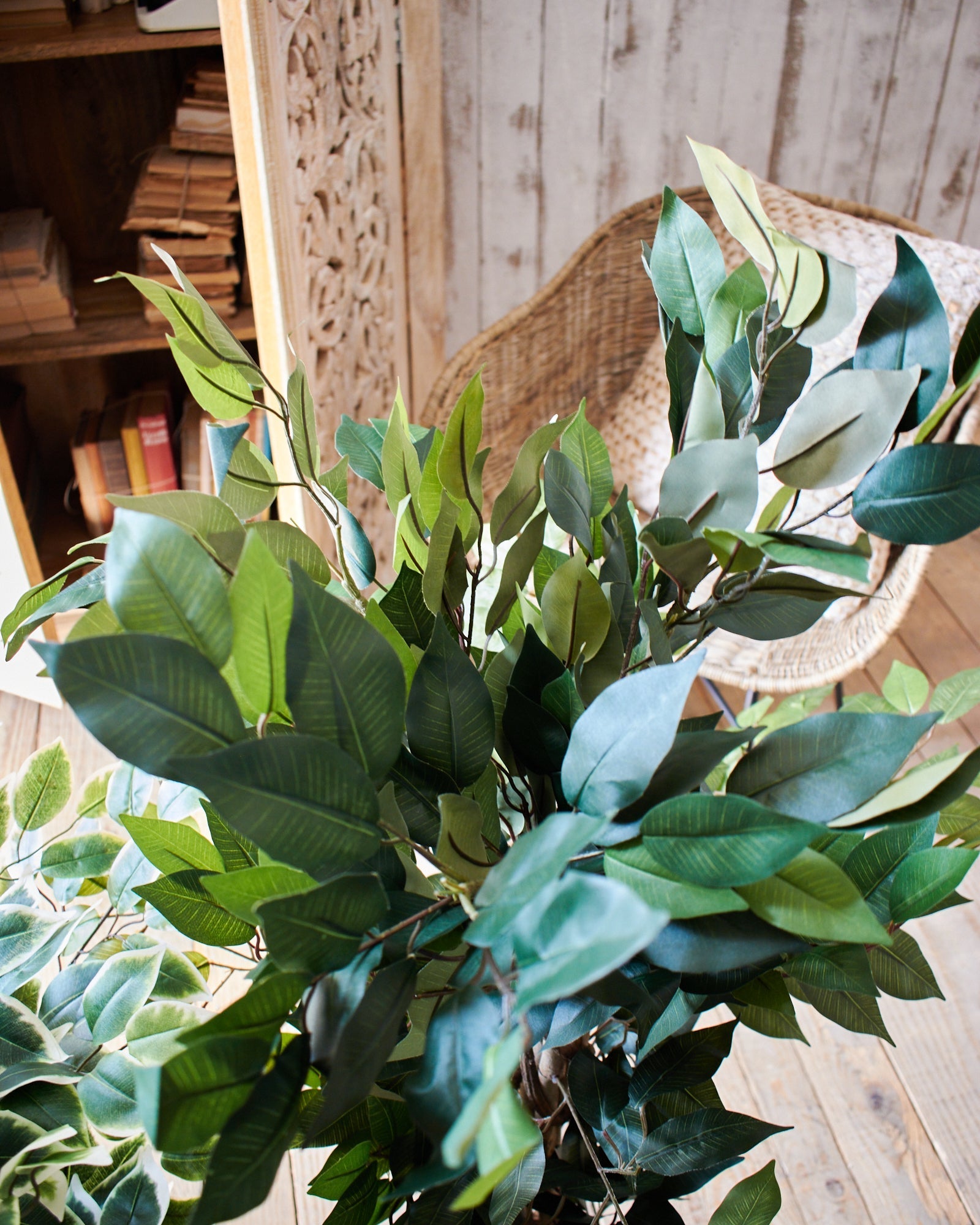 Ficus artificiale Tonga set da 2 - OrchideaMilano1981