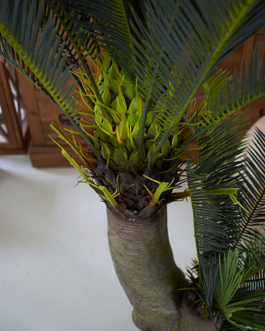Palma artificiale Cycas - OrchideaMilano1981