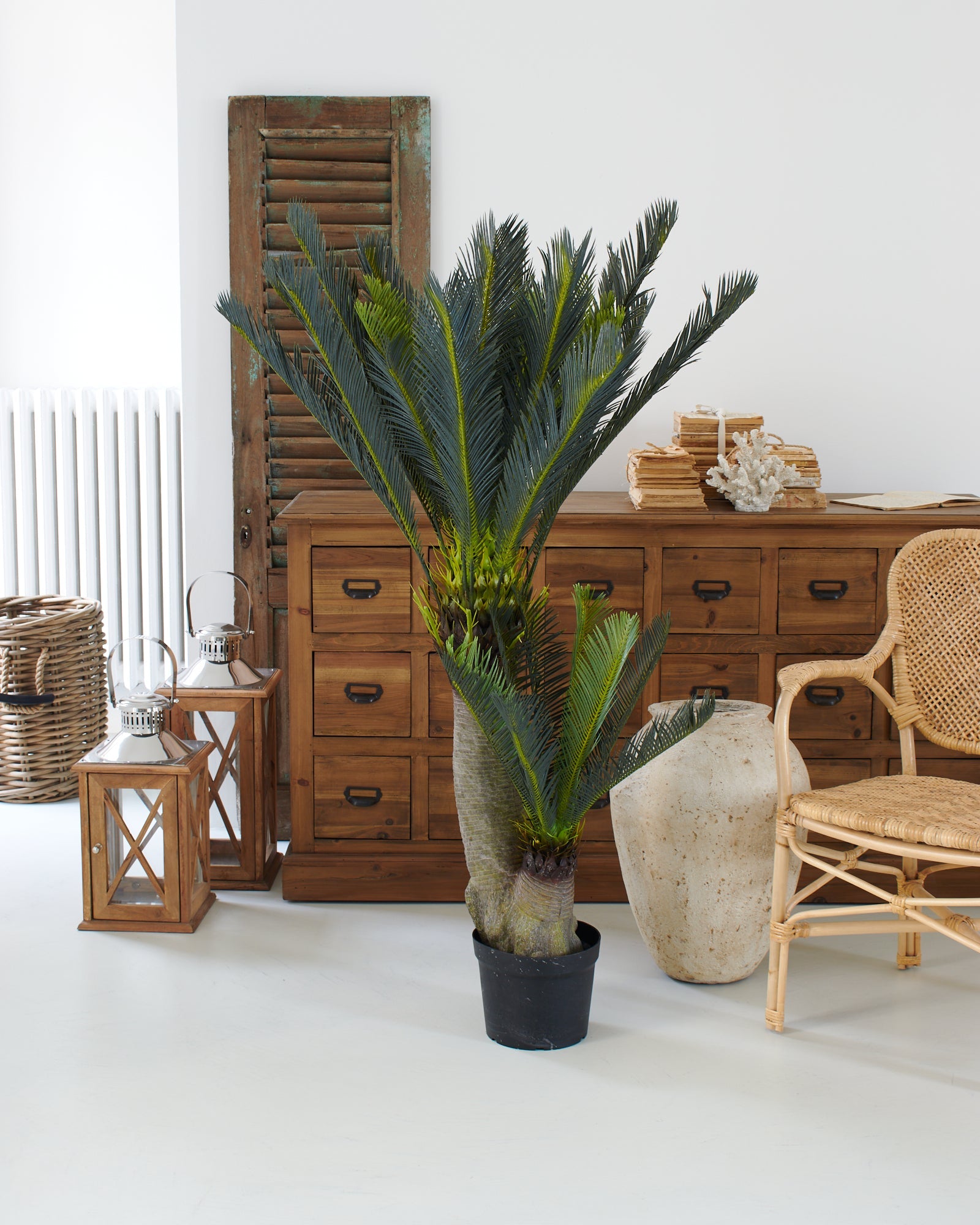 Palma artificiale Cycas - OrchideaMilano1981