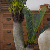 Palma artificiale Cycas - OrchideaMilano1981
