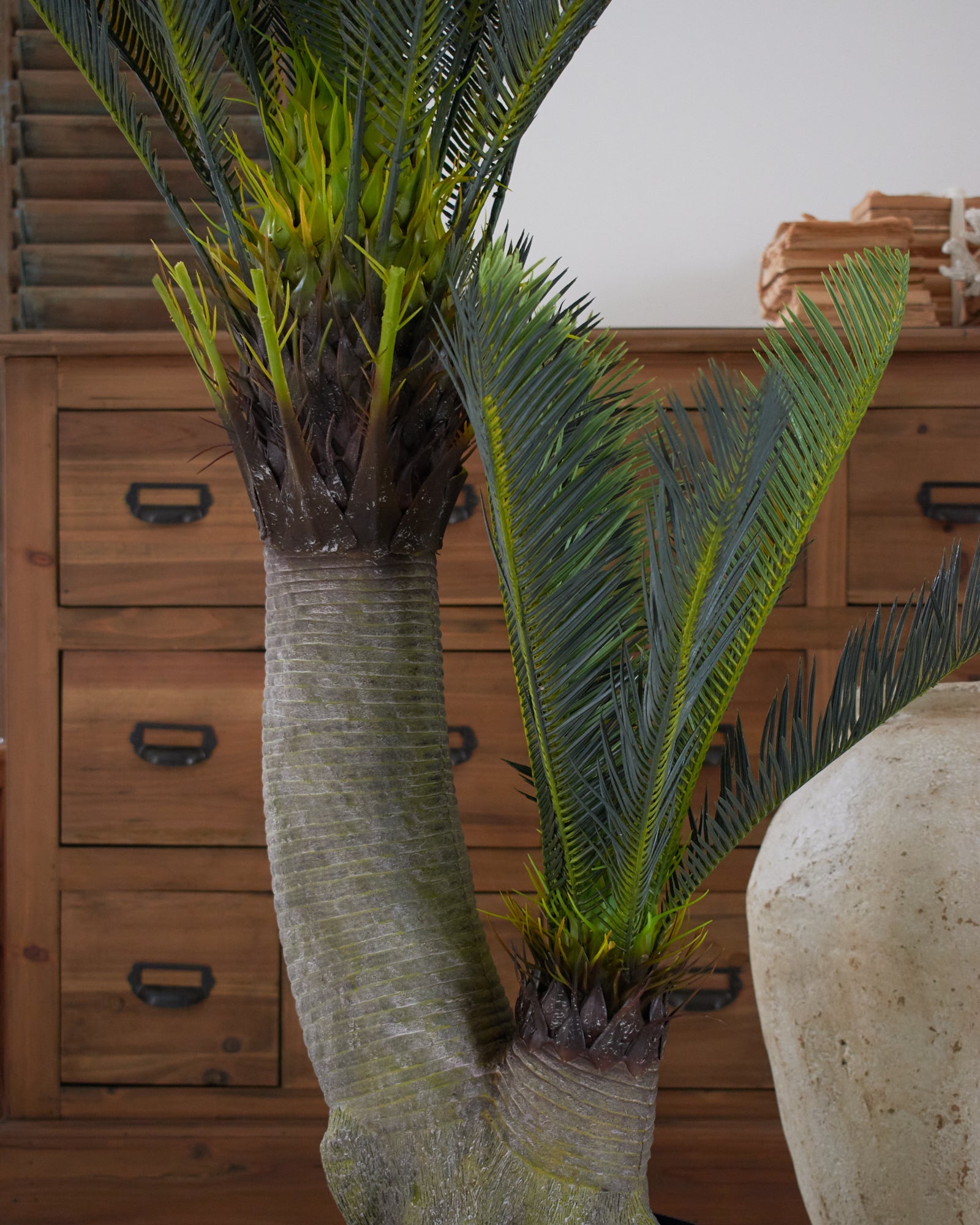 Palma artificiale Cycas - OrchideaMilano1981