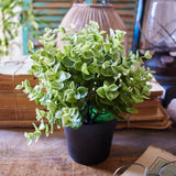 Piantine artificiali Spring Vibes set da 6 - OrchideaMilano1981