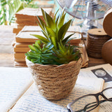 Piantine artificiali Succulenta set da 3 - OrchideaMilano1981