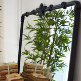 Specchiera da parete in resina Antique Black - OrchideaMilano1981