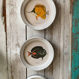 Stampe con cornice in legno Coral Reef Fish set di 4 - OrchideaMilano1981