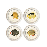 Stampe con cornice in legno Coral Reef Fish set di 4 - OrchideaMilano1981