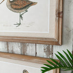 Stampe con cornice in legno Country Birds set di 2 - OrchideaMilano1981