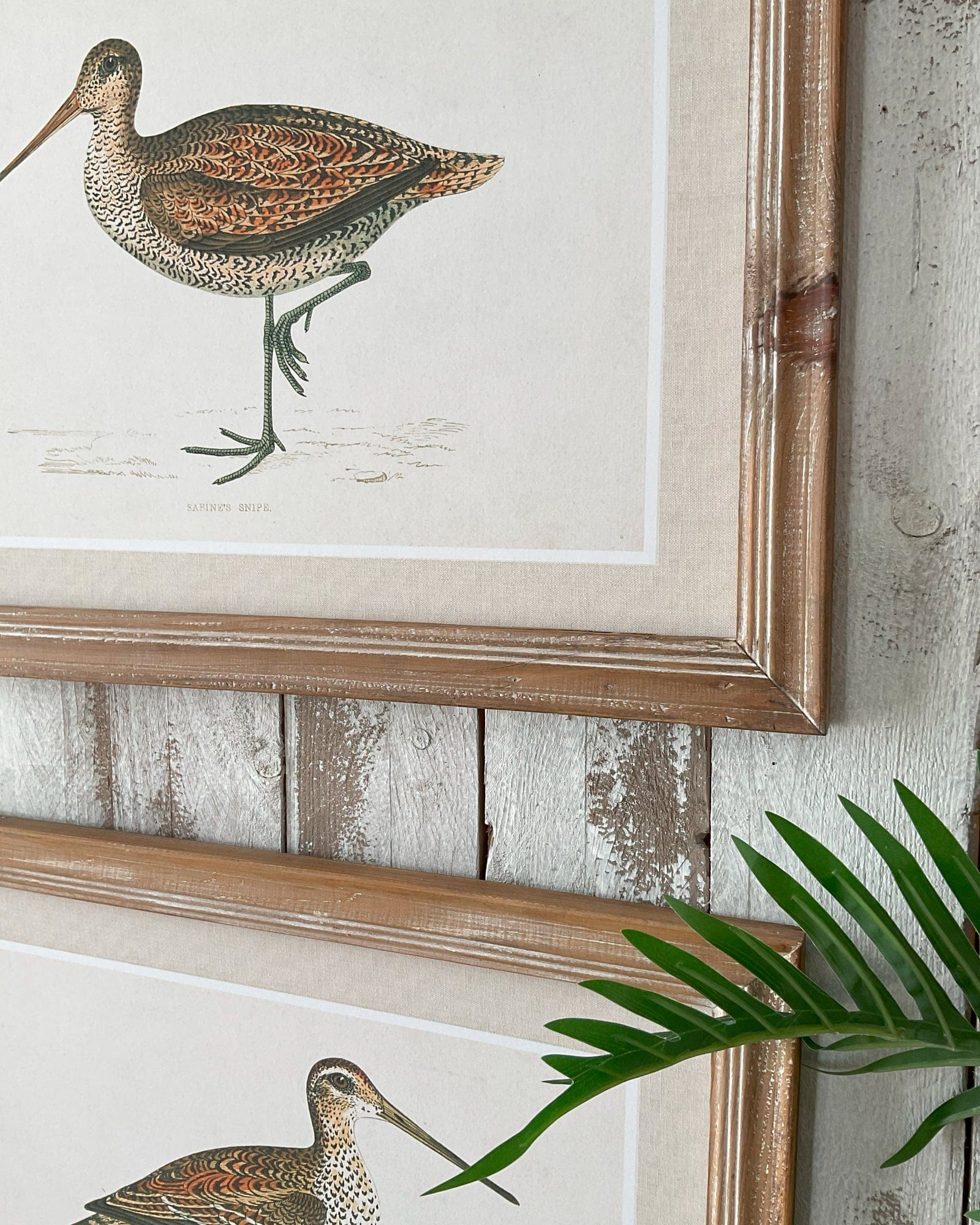 Stampe con cornice in legno Country Side set da 2 - OrchideaMilano1981