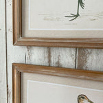 Stampe con cornice in legno Country Birds set di 2 - OrchideaMilano1981