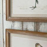 Stampe con cornice in legno Country Birds set di 2 - OrchideaMilano1981