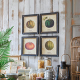 Stampe con cornice in legno Pumpkin set di 4 - OrchideaMilano1981