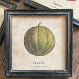 Stampe con cornice in legno Pumpkin set di 4 - OrchideaMilano1981