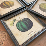 Stampe con cornice in legno Pumpkin set di 4 - OrchideaMilano1981