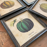 Stampe con cornice in legno Pumpkin set di 4 - OrchideaMilano1981