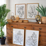 Stampe con cornice in legno Drawings set di 4 - OrchideaMilano1981