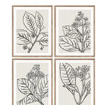 Stampe con cornice in legno Drawings set di 4 - OrchideaMilano1981
