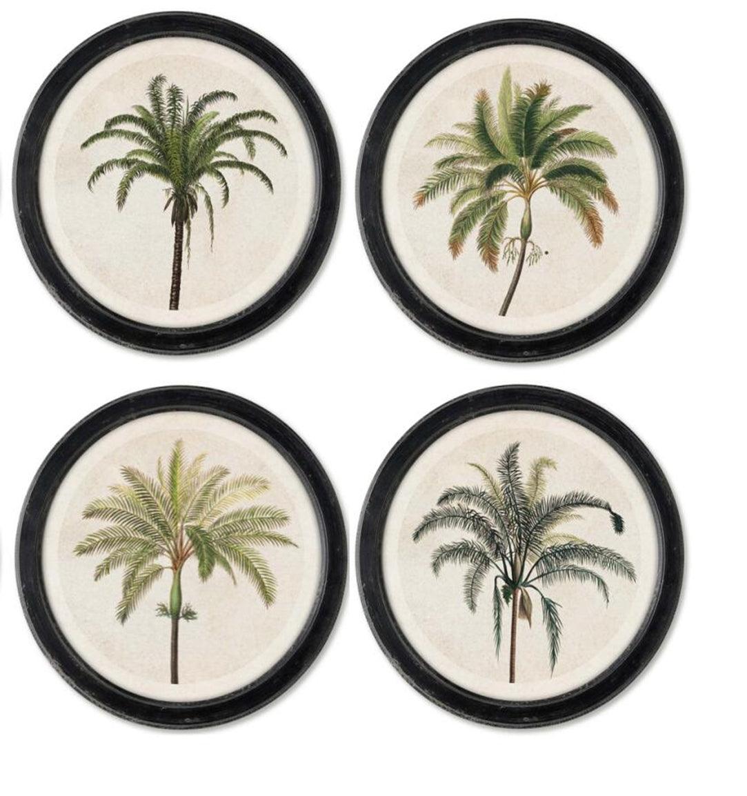 Stampe con cornice in legno Jungle set di 4 - OrchideaMilano1981