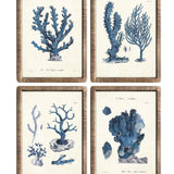 Stampe con cornice in rattan Blue Corals set di 4 - OrchideaMilano1981