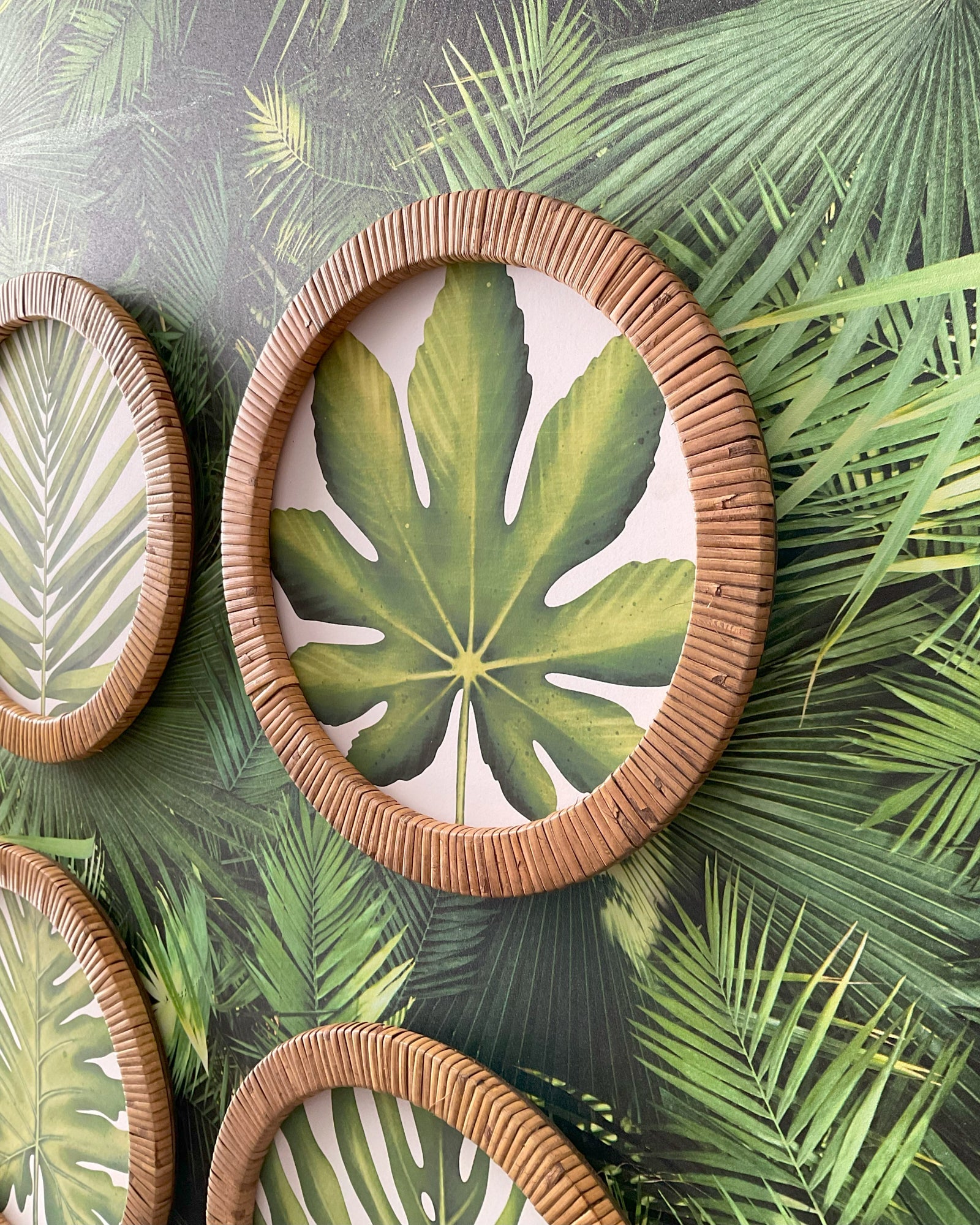 Stampe con cornice in rattan Green Leaves set di 4 - OrchideaMilano1981