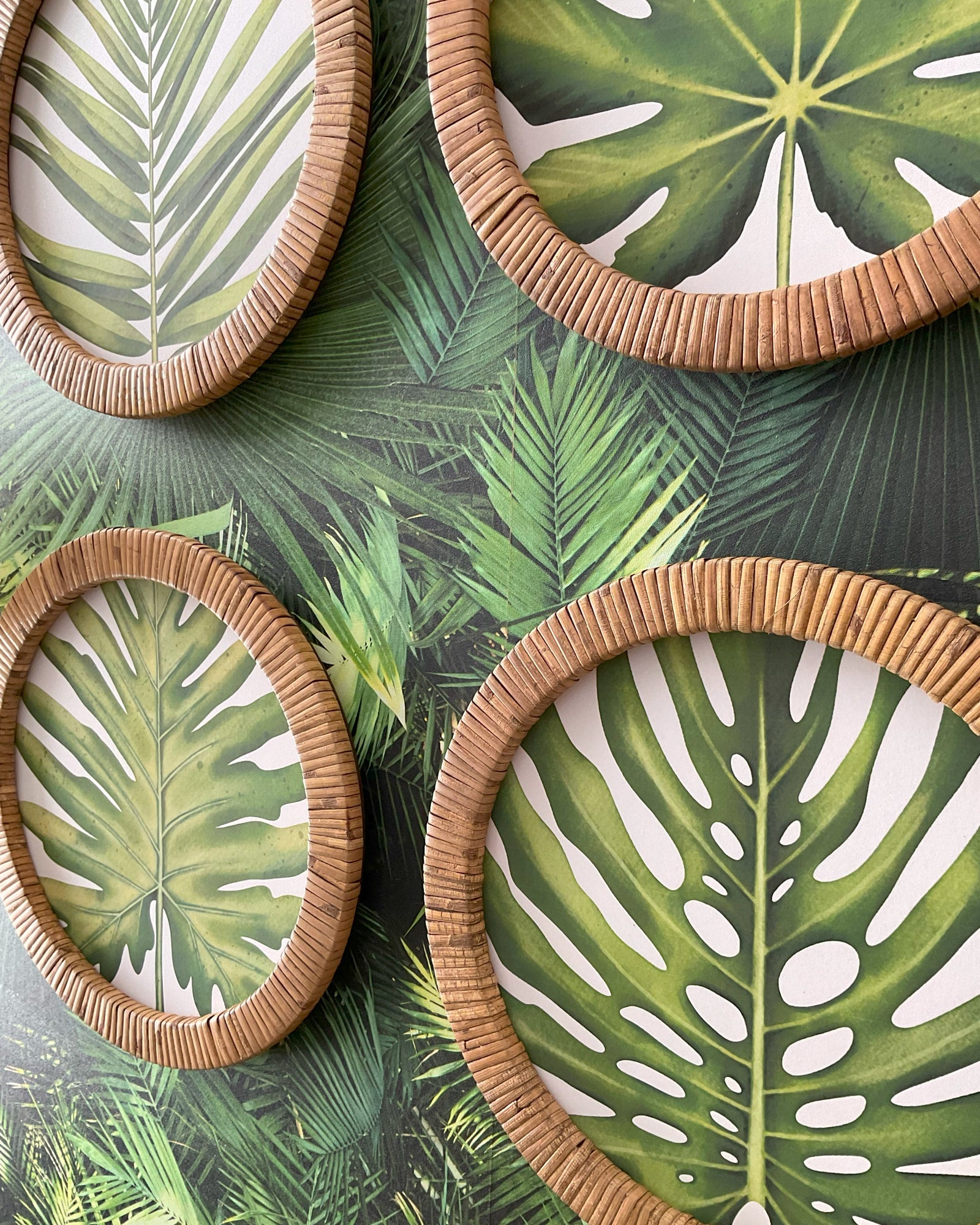 Stampe con cornice in rattan Green Leaves set di 4 - OrchideaMilano1981