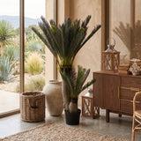 Artificial Palm Cycas