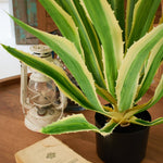 Agave artificiale con vaso Mesa Verde - OrchideaMilano1981