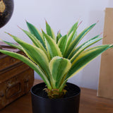 Agave artificiale con vaso Nevada - OrchideaMilano1981