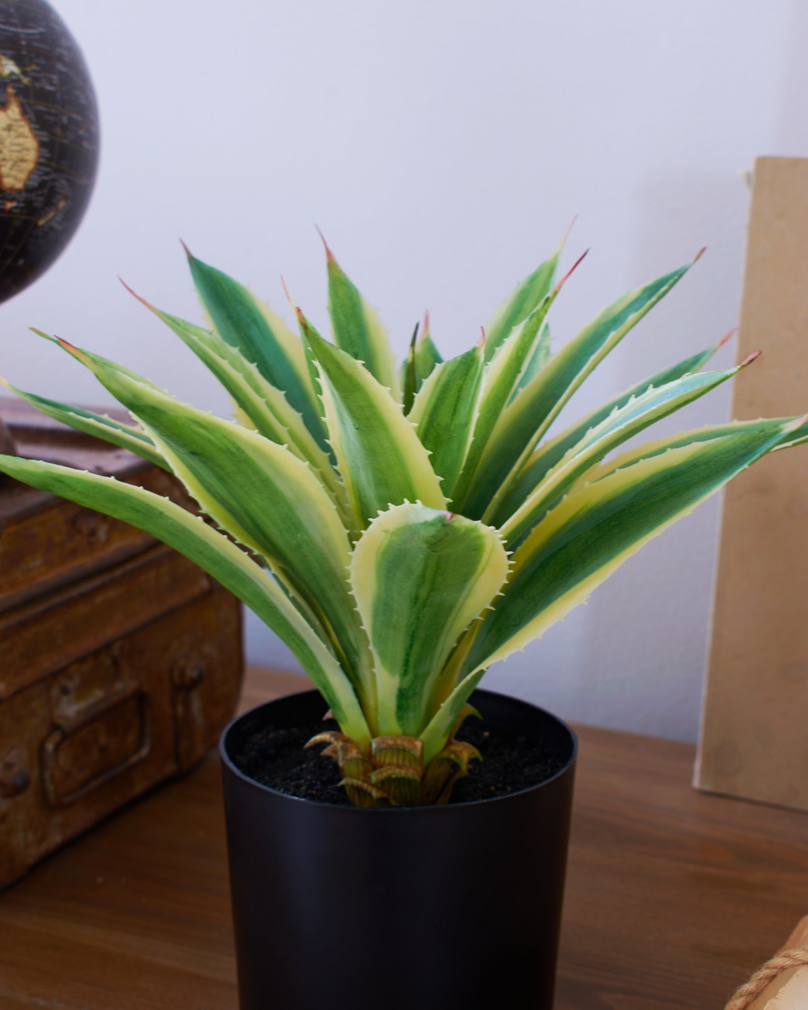 Agave artificiale con vaso Nevada - OrchideaMilano1981