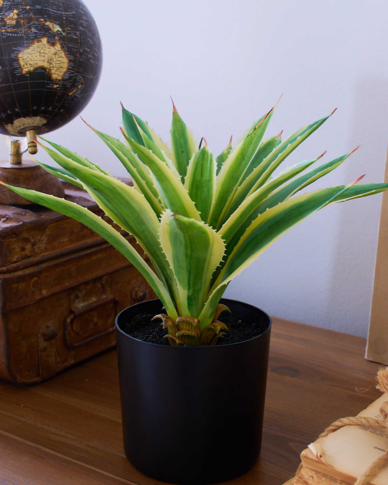 Agave artificiale con vaso Nevada - OrchideaMilano1981