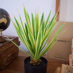 Agave artificiale con vaso Utah - OrchideaMilano1981