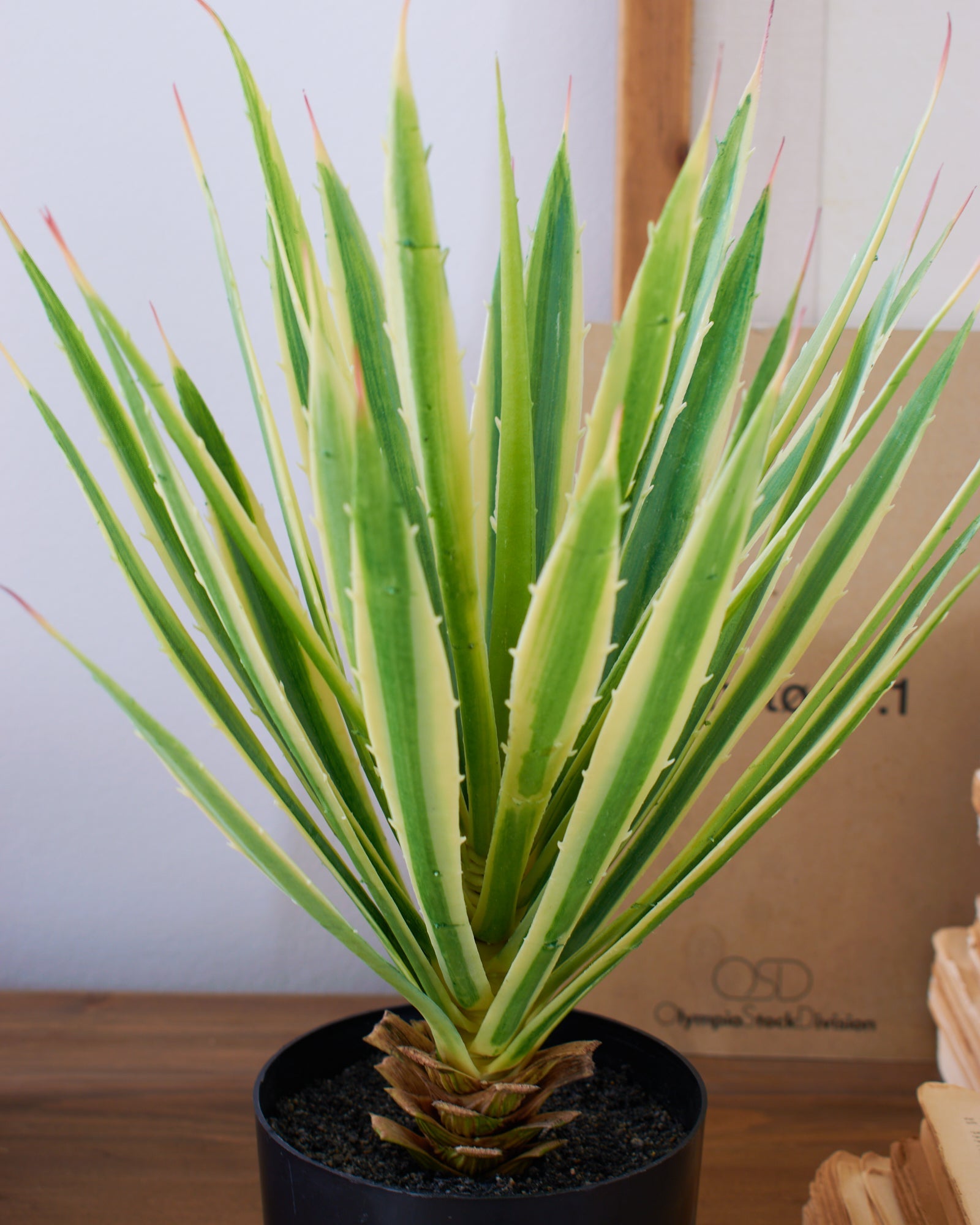 Agave artificiale con vaso Utah - OrchideaMilano1981