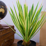 Agave artificiale con vaso Utah - OrchideaMilano1981