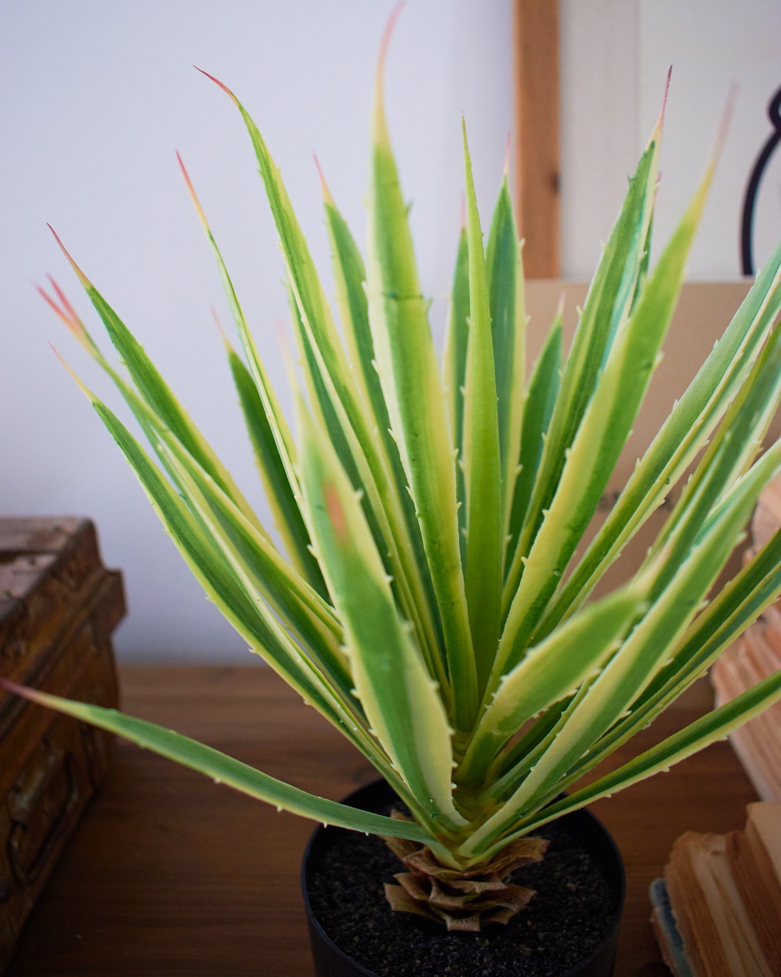 Agave artificiale con vaso Utah - OrchideaMilano1981