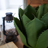 Aloe artificiale con vaso Arizona - OrchideaMilano1981