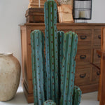 Cactus artificiale con vaso Mexico - OrchideaMilano1981