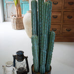 Cactus artificiale con vaso Mexico - OrchideaMilano1981