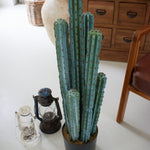 Cactus artificiale con vaso Mexico - OrchideaMilano1981