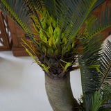 Palma artificiale Cycas - OrchideaMilano1981