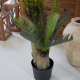 Palma artificiale Cycas - OrchideaMilano1981