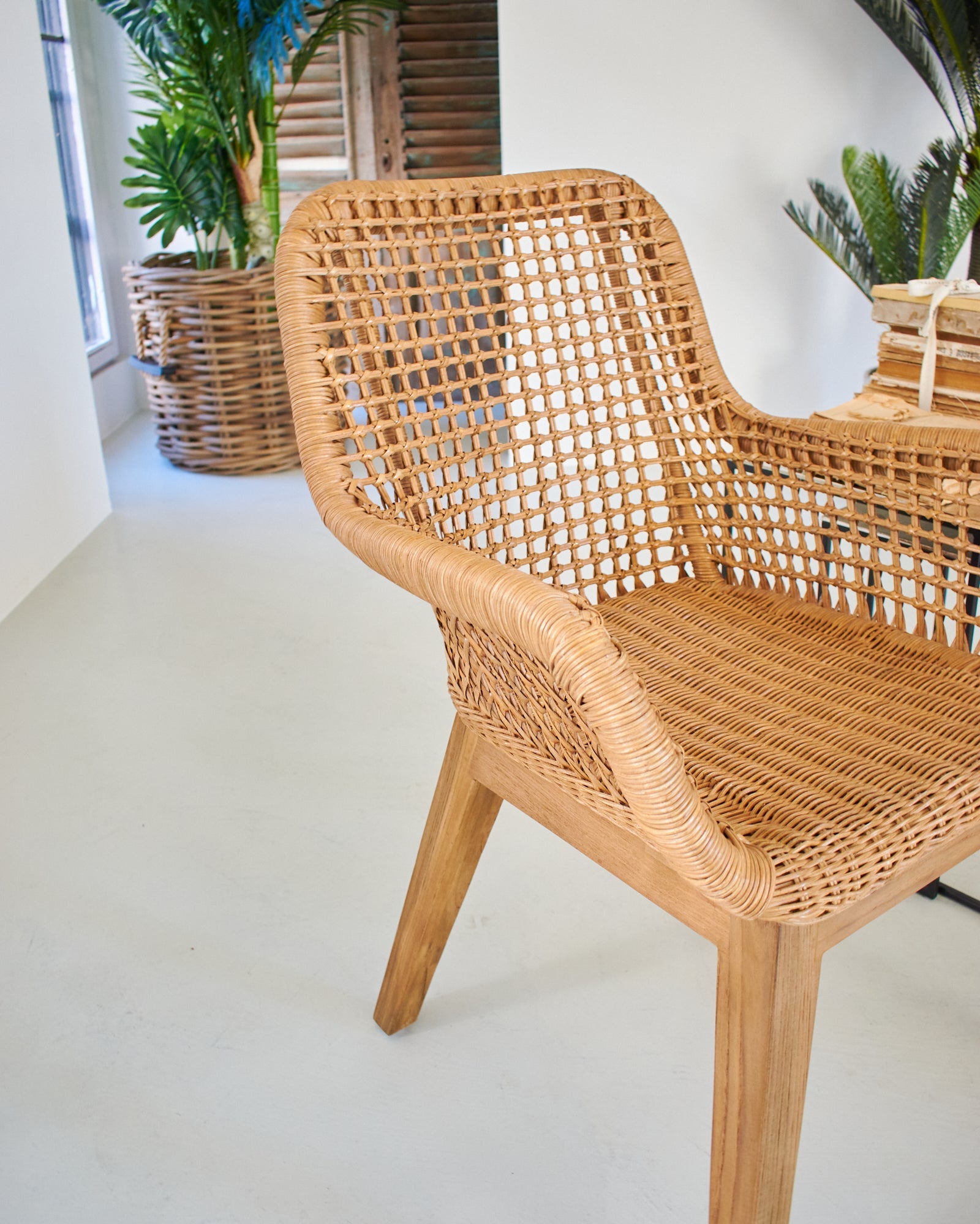 Poltroncina in legno e rattan con cuscino Antigua - OrchideaMilano1981