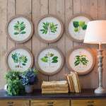 Stampe con cornice in legno Botanical set da 6 - OrchideaMilano1981