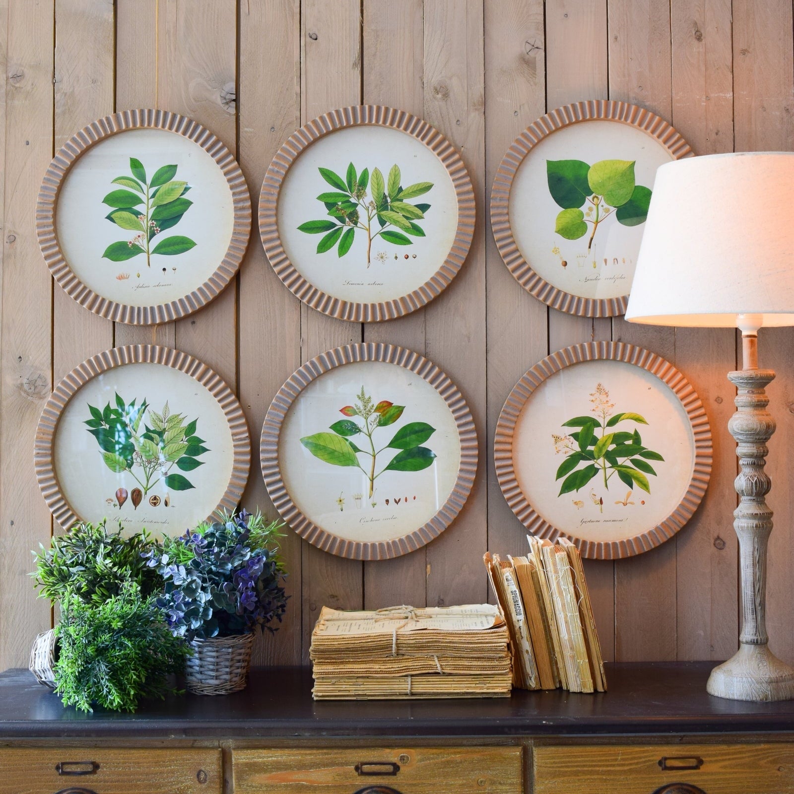 Stampe con cornice in legno Botanical set da 6 - OrchideaMilano1981