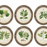 Stampe con cornice in legno Botanical set da 6 - OrchideaMilano1981