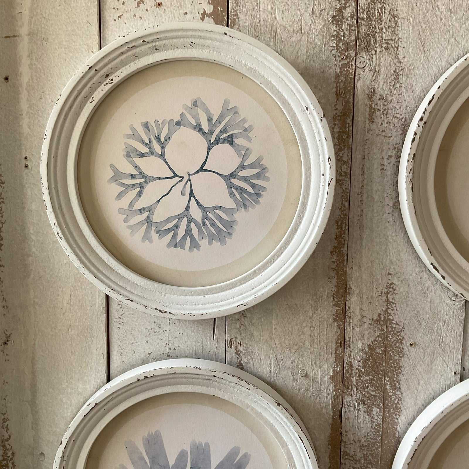 Stampe con cornice in legno Under the Sea set di 4 - OrchideaMilano1981