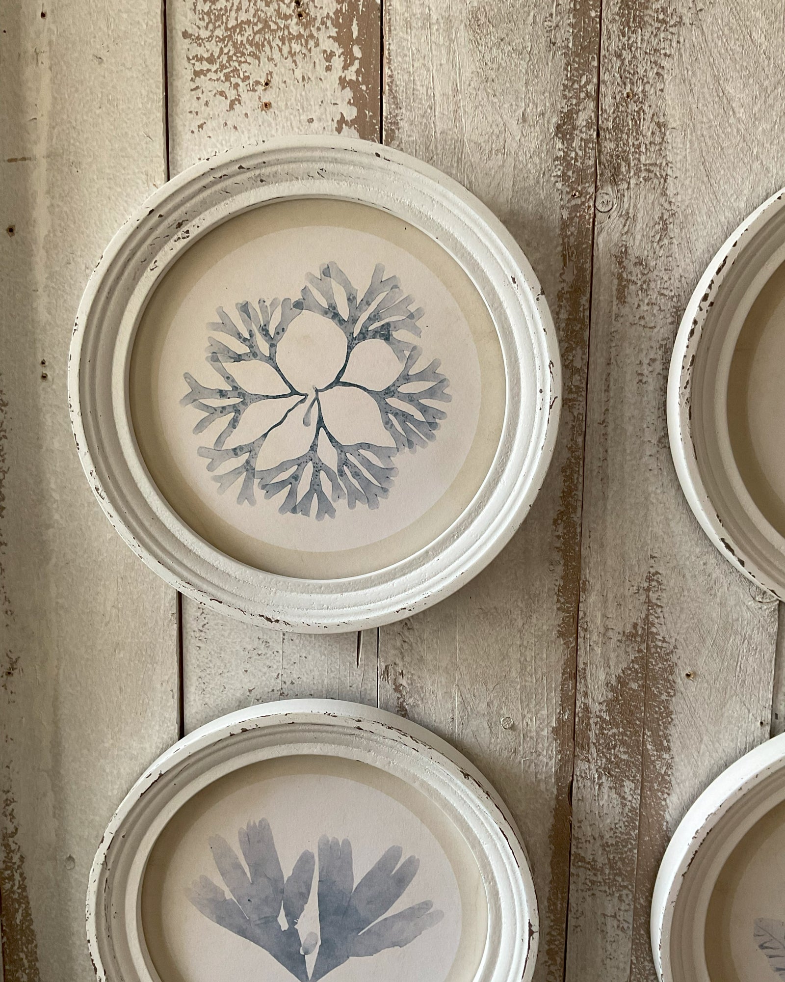 Stampe con cornice in legno Coastal Mood set da 4 - OrchideaMilano1981